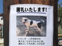 「謝礼として犬を差し上げます」だとぅ？よく見るといろいろおかしい、シニカルな偽の広告・ポスター集