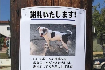 「謝礼として犬を差し上げます」だとぅ？よく見るといろいろおかしい、シニカルな偽の広告・ポスター集