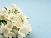 婚活こじらせ女子への処方箋～結婚につながる恋愛のはじめ方vol.1～