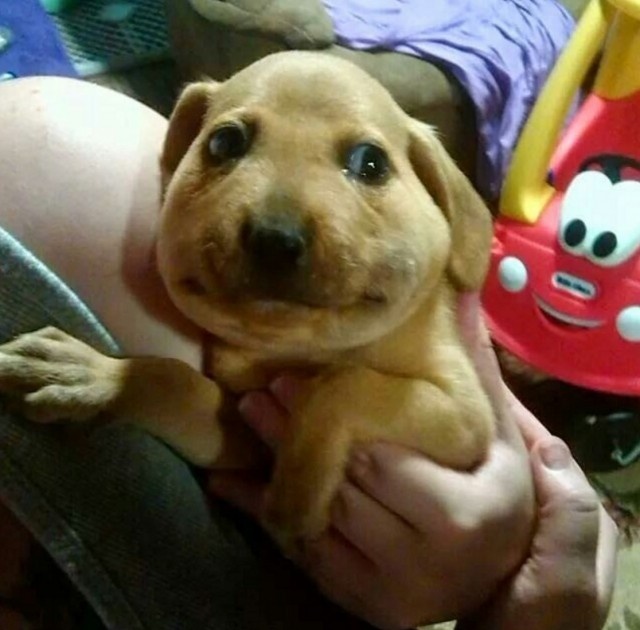 スクリーンショット 2016-04-24 19.58.21