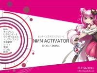 株式会社CAMELLIA.NETのプレスリリース画像