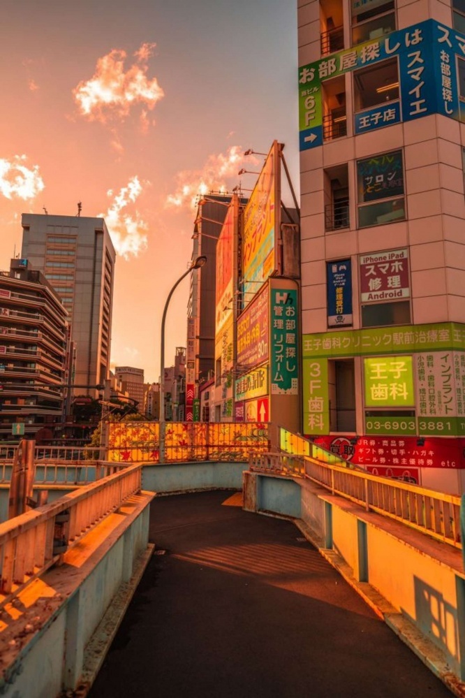 画像は再掲