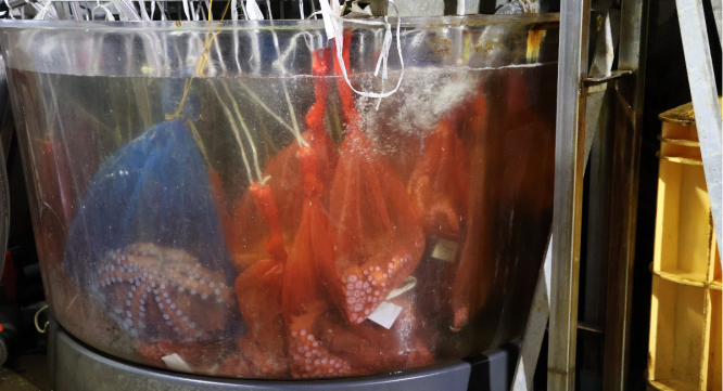 株式会社JALUXのプレスリリース画像