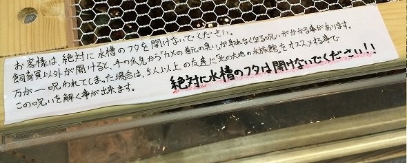 一体どんなにおいなのだろう