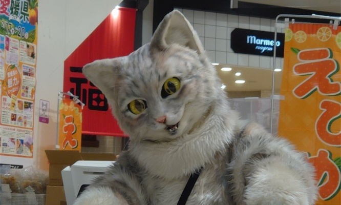 猫の手を借り大反響！　全国各地でプリンを売る「アルバイトにゃんこ」が有能すぎ