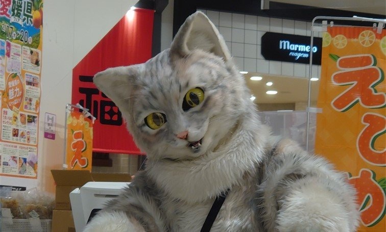 猫の手を借り大反響！　全国各地でプリンを売る「アルバイトにゃんこ」が有能すぎ