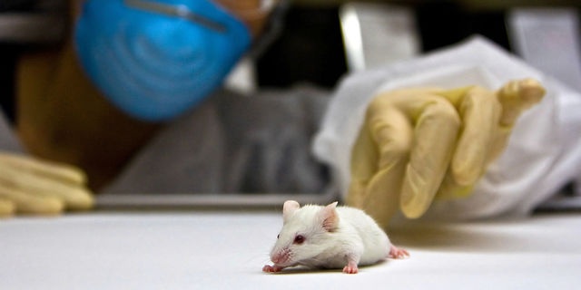 「Doctors Me（ドクターズミー）」コラム画像