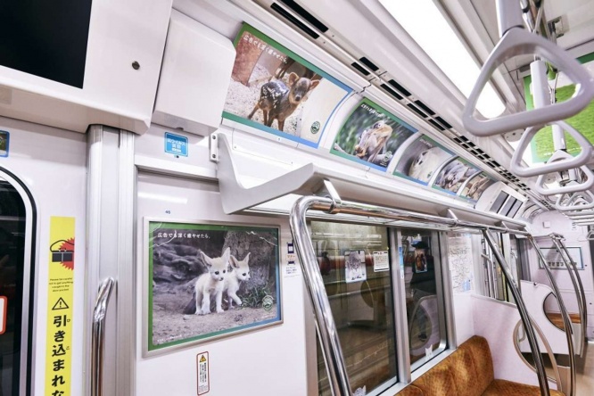 どこを見ても動物の赤ちゃんが(画像はプレスリリースより)