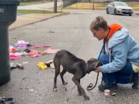 私にやさしくしてくれるの？ゴミ捨て場にいた犬が、助けに来た人に全力で愛情を示す