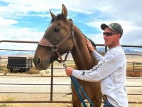 野生馬の群れと共に去っていった飼い馬と8年後、奇跡の再会を果たした男性