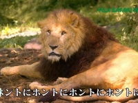 富士サファリパークのCM（画像は富士サファリパーク公式チャンネルより）