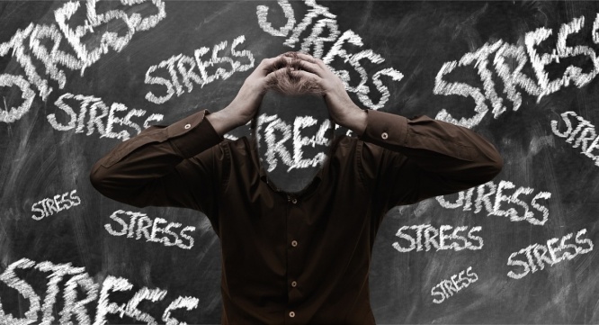 Dream Art Laboratoryのプレスリリース画像