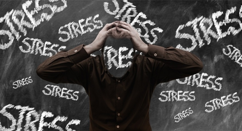 Dream Art Laboratoryのプレスリリース画像