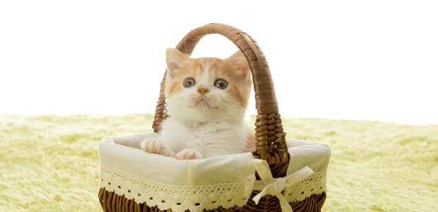 「Doctors Me（ドクターズミー）」コラム画像