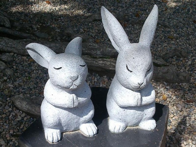 うさぎ