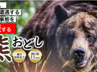 株式会社ローズクリエイトのプレスリリース画像