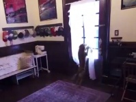 宇宙から帰還した宇宙飛行士が1年ぶりに愛犬と再会（アメリカ）