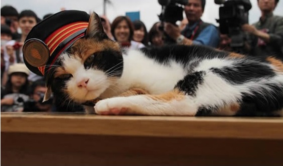 和歌山電鉄オフィシャルサイトより