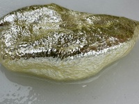深海魚を捌いたら中から「金ピカの物体」出現！その正体は...　〝生命の神秘〟に驚嘆の声