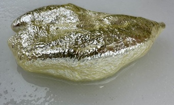 深海魚を捌いたら中から「金ピカの物体」出現！その正体は...　〝生命の神秘〟に驚嘆の声