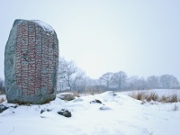 1200年前のバイキングの石碑には、未来の気候変動を予言したルーン文字が刻まれていた（スウェーデン研究）