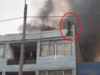 燃え盛る建物に閉じ込められた25匹の子犬を命がけで救出したホームレスの男性