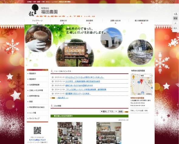 公式サイト