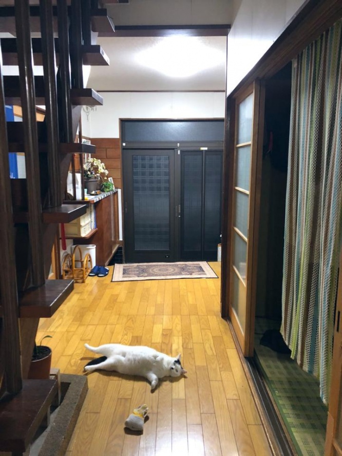 別の日にも軍手と添い寝（写真はツイートより）
