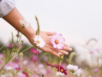 「穏やかな人」になる方法