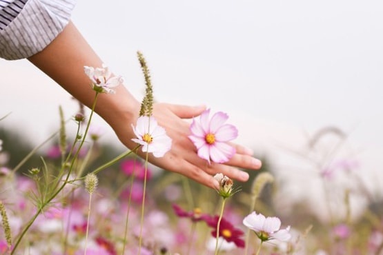 「穏やかな人」になる方法