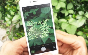 トレンダーズ株式会社のプレスリリース画像