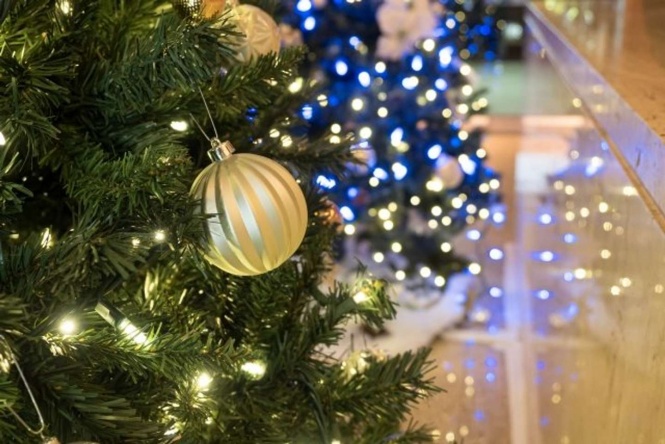 クリスマスの飾りを見に...（画像はイメージ）