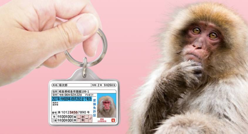 Daydream Labのプレスリリース画像