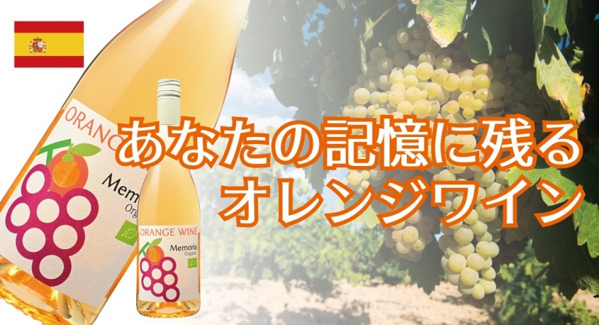 株式会社キングジャパンのプレスリリース画像