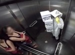 『エレベーター内でハチの入った箱を落とす』イタズラ動画がヒドい…