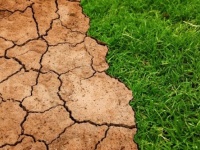 「地球温暖化にまつわる誤った嘘」を科学で検証（ファクトチェック）