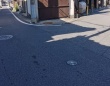 右と左、どちらに進みたい？　島根にある〝究極のY字路〟に24万人の心躍る「ワクワクする！」「最高すぎ」
