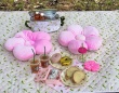 フライングタイガー「さくらシリーズ」がかわいすぎる！　お花見＆ピクニックに持っていきたいアイテムを紹介