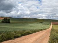 青山ライフ出版のプレスリリース画像