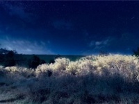 狭山公園が10日間限定で異世界に！無料ライトアップと映えフォトスポット出現　11月7日から