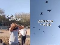 あまりこの男を怒らせない方がいい。呼び声だけでカラスの大群を一斉召喚