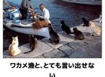 可愛さと笑いのコラボ！電車で読んだらヤバいネコのボケて11選