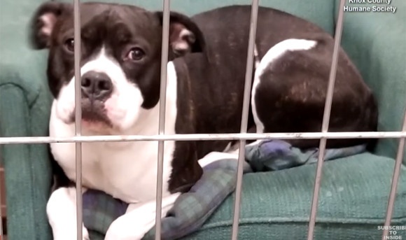 スクリーンショット-(548)