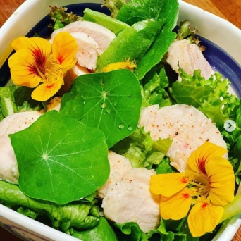 インスタグラム：工藤静香(@kudo_shizuka)より