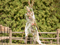 株式会社BHFのプレスリリース画像