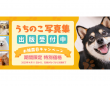アッカ・コミュニケーションズ合同会社のプレスリリース画像