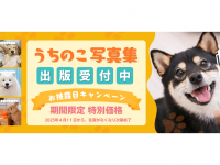 アッカ・コミュニケーションズ合同会社のプレスリリース画像