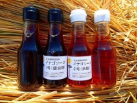 本物の“イナゴ”を発酵させた調味料『昆虫発酵調味料 イナゴソース』新発売！