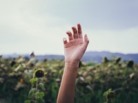 物腰が柔らかい人の特徴7つ