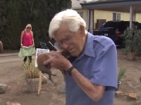 93歳のおじいちゃんが盗まれていた愛犬のチワワと再会！
